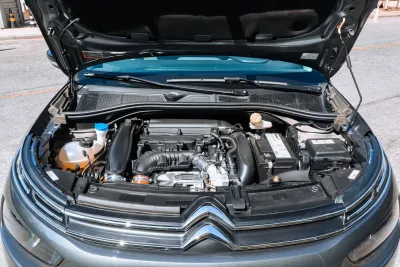 C4 Cactus